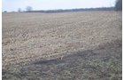 Property photo 55 - 98+/- Acres Offered in 6 Tracts or Combinations, Noble County, Indiana Farm